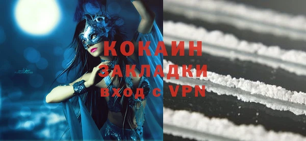 соль курить ск Каменка