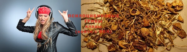 гашик Каменск-Шахтинский