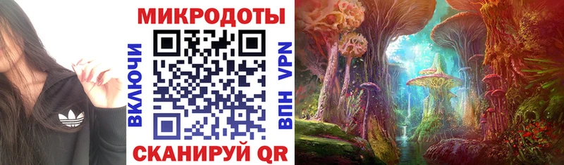 Купить  Гатчина  Галлюциногенные грибы Psilocybe 
